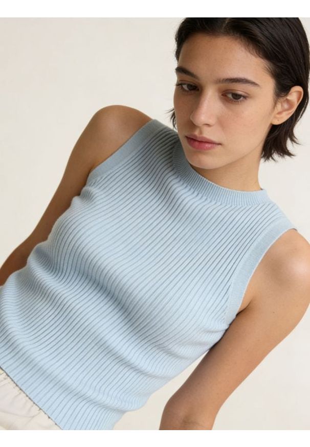 Sinsay - Prażkowana bluzka bez rękawów - niebieski. Kolor: niebieski. Długość rękawa: bez rękawów