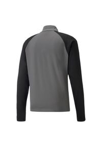 Bluza Puma Team Liga. Kolor: szary, biały, wielokolorowy. Długość: krótkie. Sport: piłka nożna #2
