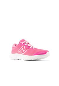 Buty dla dzieci New Balance 520 V8 jr. Materiał: tkanina, mesh. Szerokość cholewki: normalna
