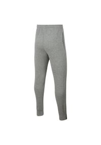 Nike - Spodnie Do Biegania Park 20 Fleece Dla Dzieci/dzieci. Kolor: szary