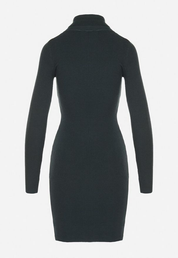 Born2be - Ciemnozielona Dopasowana Sukienka z Prążkowanej Dzianiny z Golfem Seralinda. Okazja: na co dzień. Typ kołnierza: golf. Kolor: zielony. Materiał: prążkowany, dzianina. Długość rękawa: długi rękaw. Styl: casual, klasyczny, wizytowy