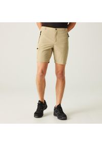 Regatta - Leesville II męskie spodenki trekkingowe. Kolor: beżowy. Materiał: poliamid. Sport: turystyka piesza #1