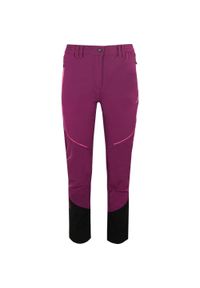 YOA - Spodnie damskie ATHL. DPT. Katana Dark Purple rozmiar 40. Kolor: fioletowy, wielokolorowy, czarny. Długość: długie #1