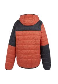 Regatta - Męska Kurtka Hillpack III Hooded Active Padded Jacket. Kolor: czerwony, wielokolorowy, czarny. Materiał: puch. Sport: turystyka piesza