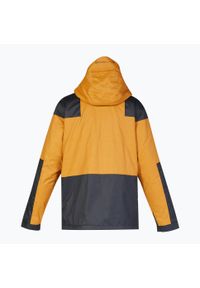DC Shoes - Kurtka snowboardowa męska DC Anchor. Kolor: żółty. Sezon: zima. Sport: snowboard #2