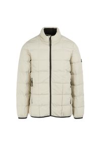 Kurtka puchowa Regatta Wilnor. Kolor: beżowy. Materiał: puch. Sport: turystyka piesza #1