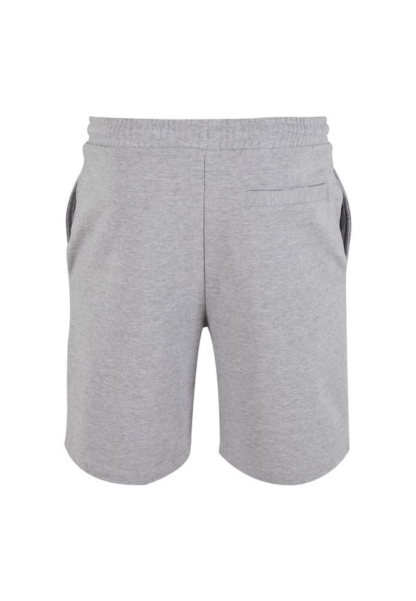 BUILD YOUR BRAND - Ultra Ciężkie Spodenki Dresowe Unisex Dla Dorosłych. Kolor: szary. Materiał: dresówka