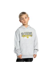 DC Shoes - Bluza z kapturem dla Chłopcy TAILGATE PH Szary. Typ kołnierza: kaptur. Kolor: szary. Materiał: tkanina, poliester, bawełna. Sport: skateboard