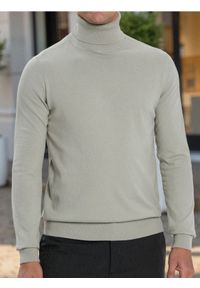 Sinsay - Klasyczny golf - zielony. Typ kołnierza: golf. Kolor: zielony. Styl: klasyczny