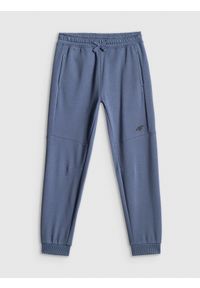 4f - 4F Spodnie dresowe joggery chłopięce - niebieskie 164 (13-14 lat). Okazja: na co dzień, na uczelnię, do domu. Kolor: niebieski. Materiał: dresówka. Sezon: lato. Styl: casual #1