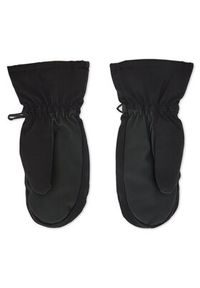 Viking Rękawice narciarskie Aliana 113/21/0884 Czarny. Kolor: czarny. Materiał: poliester, materiał. Sport: narciarstwo #3