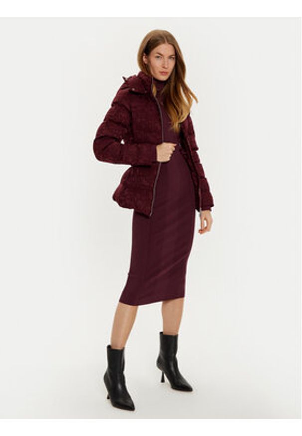 Elisabetta Franchi Kurtka przejściowa PI-70D-46E1-V640 Bordowy Regular Fit. Kolor: czerwony. Materiał: syntetyk