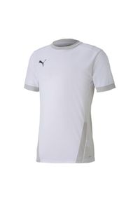 Puma - Męska Koszulka TeamGoal 23. Kolor: biały. Sport: turystyka piesza