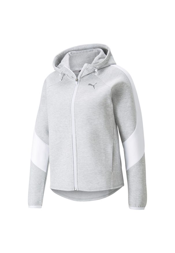 Bluza dresowa damska Puma EVOSTRIPE. Kolor: szary. Materiał: dresówka. Sezon: zima