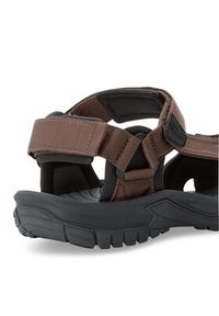 Jack Wolfskin Sandały Lakewood Ride Sandal M 4019021 Brązowy. Kolor: brązowy. Materiał: materiał #3