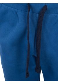 North Sails Spodnie | 90 3203 000 | Sweatpant W/Graphic | Mężczyzna | Niebieski. Okazja: na co dzień. Kolor: niebieski. Materiał: bawełna. Wzór: nadruk, aplikacja. Styl: casual #3