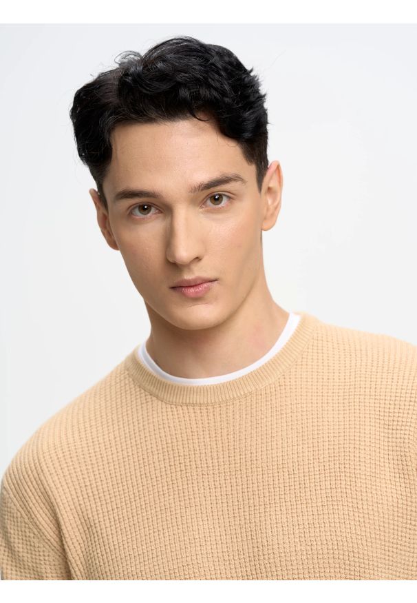 Big-Star - Sweter męski beżowy Stanson 801. Okazja: na imprezę, na spotkanie biznesowe, na co dzień. Kolor: beżowy. Materiał: prążkowany. Wzór: aplikacja, ze splotem. Styl: biznesowy, casual