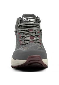 Buty trekkingowe Alpinus Gobi W JS43555 brązowe szare. Wysokość cholewki: przed kolano. Zapięcie: sznurówki. Kolor: wielokolorowy, brązowy, szary. Materiał: guma. Szerokość cholewki: normalna. Styl: wakacyjny