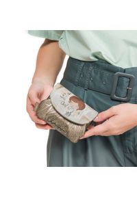 Portfel damski Anekke, z klapką ozdobiony charakterystycznym nadrukiem i metalowym logo wyposażony w kieszeń na monety, złoty, 42809-016. Kolor: złoty. Wzór: nadruk, aplikacja #8