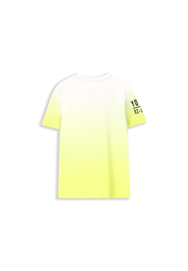 Koszulka sportowa dla dzieci Lemon Explore WL4 z krótkim rękawem Loose Fit. Kolor: zielony. Materiał: poliester, elastan. Długość rękawa: krótki rękaw. Długość: krótkie. Sport: fitness