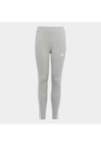 Legginsy dziecięce Adidas. Materiał: bawełna, materiał, elastan