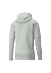 Bluza z kapturem Puma Teamfinal Casuals Hooded Jkt, Mężczyźni. Typ kołnierza: kaptur. Kolor: szary. Materiał: bawełna, materiał #2