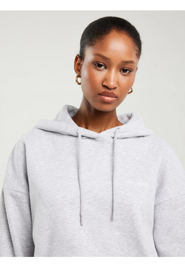 Big-Star - Bluza damska z kapturem szara Megan 901/ Foxie 901. Okazja: na spacer. Typ kołnierza: kaptur. Kolor: szary. Materiał: dzianina, dresówka. Wzór: haft, napisy. Styl: sportowy