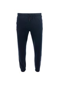 ZOOPLEMENTS - Spodnie dresowe męskie Athl. DPT. SILVANO – Granatowe. Okazja: na co dzień. Kolor: niebieski. Materiał: dresówka. Styl: casual #1