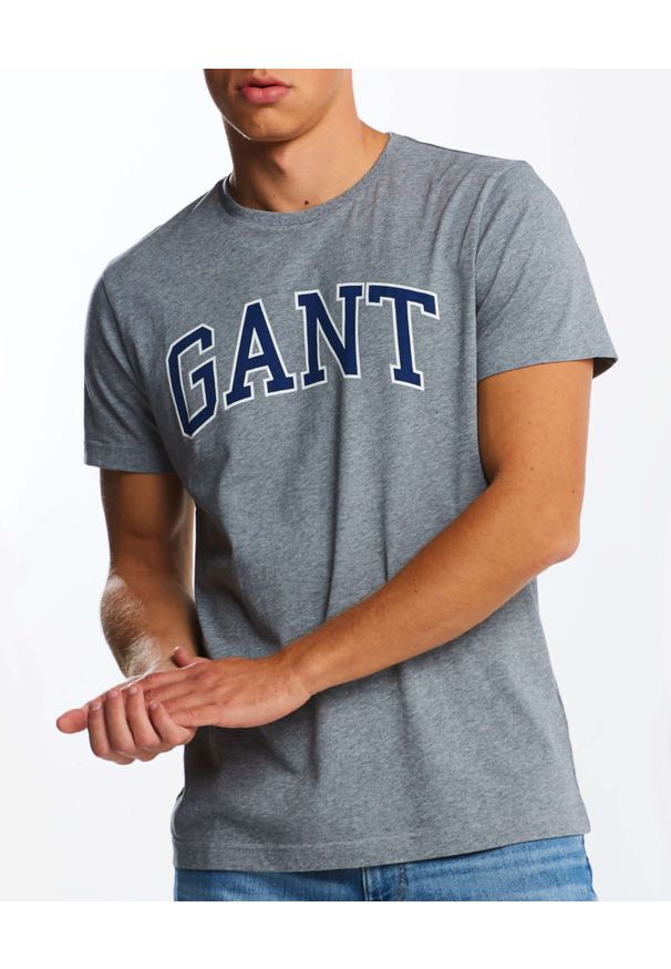 GANT - Szary t-shirt z dużym logo. Kolor: szary. Materiał: jeans, bawełna. Wzór: nadruk