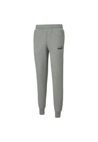 Spodnie treningowe męskie Puma ESS Logo Pants FL. Kolor: szary. Materiał: bawełna #1