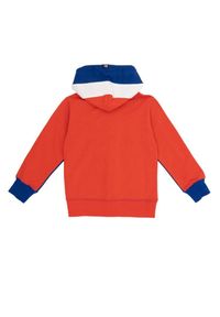 LEONE 1947 APPAREL - Nowa sportowa bluza dziecięca z kapturem i zamkiem. Typ kołnierza: kaptur. Kolor: niebieski. Sport: joga i pilates