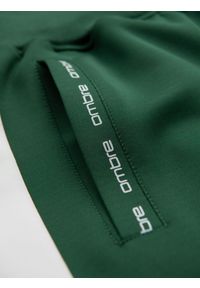 Ombre Clothing - Dresowe męskie spodnie joggery z kontrastowymi lampasami – ciemnozielone V7. Kolor: zielony. Materiał: dresówka. Wzór: aplikacja. Styl: retro, sportowy #11