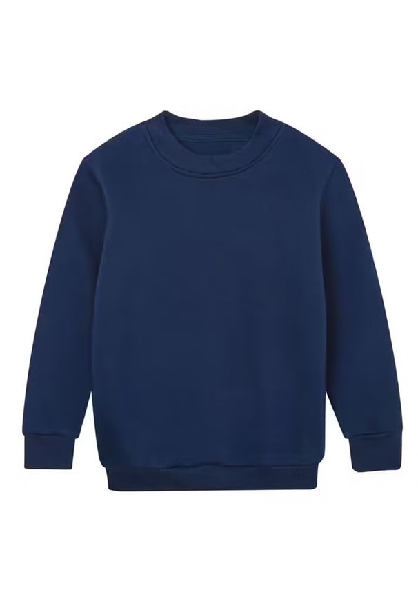 MANTIS - Bluza Dziecięca Essential Plain. Kolor: niebieski