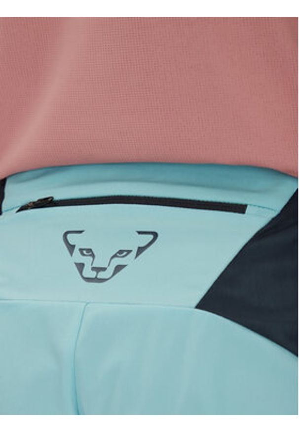 Dynafit Szorty sportowe Sky 08-0000071654 Granatowy Regular Fit. Kolor: niebieski. Materiał: syntetyk