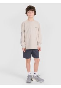 4f - 4F Longsleeve oversize z nadrukiem chłopięcy - szary 146 (10-11 lat). Okazja: na co dzień. Kolor: szary. Materiał: bawełna, jersey, tkanina. Długość rękawa: długi rękaw. Długość: długie. Wzór: nadruk. Sezon: lato. Styl: sportowy, klasyczny, elegancki, casual
