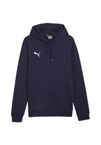 Bluza męska Puma Team Goal Casuals Hoody. Kolor: niebieski