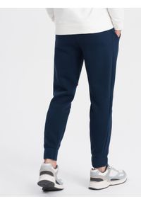 Ombre Clothing - Spodnie męskie dresowe z kontrastowymi przeszyciami - granatowe V4 OM-PASK-0145 - XXL. Kolor: niebieski. Materiał: dresówka #5