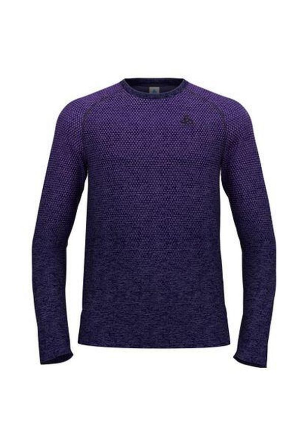 Koszulka męska Odlo ESSENTIAL SEAMLESS T-shirt crew neck l/s. Kolor: fioletowy. Sport: turystyka piesza