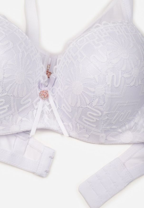Renee - Biały Koronkowy Biustonosz Ozdobiony Przezroczystą Wstawką Acalinai. Kolor: biały. Materiał: koronka. Rodzaj stanika: przezroczysty. Wzór: aplikacja