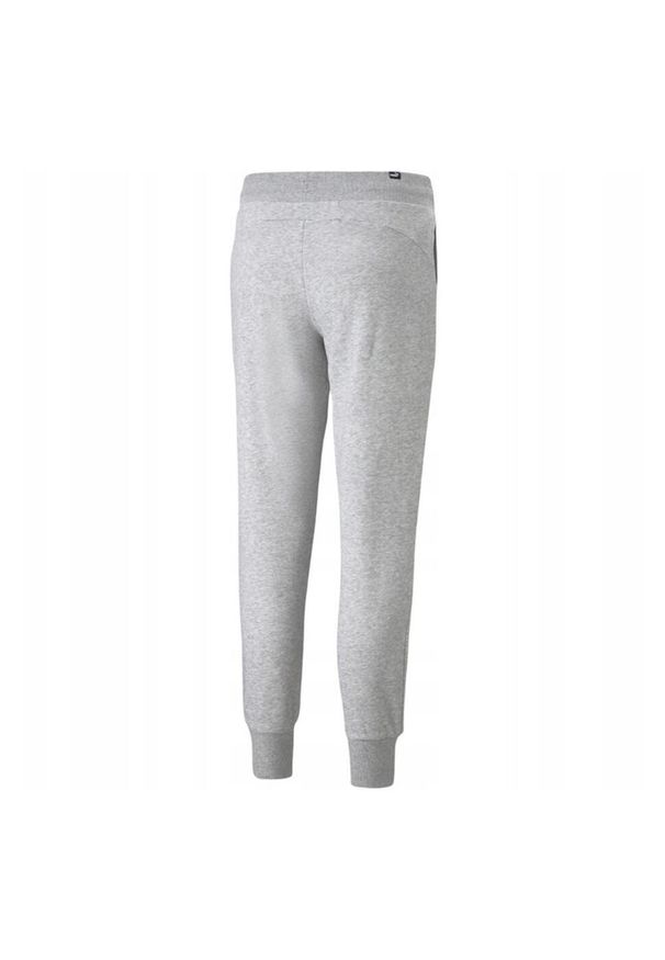 Puma - Damskie Spodnie Dresowe Essential. Kolor: szary. Materiał: dresówka. Długość: długie