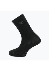 Skarpety trekkingowe TEKO Ecobaseliner 1.0 Merino 2 pary. Kolor: czarny