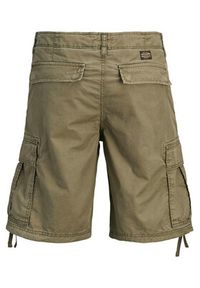 Jack & Jones Szorty materiałowe Cole Frank 12291369 Zielony Regular Fit. Kolor: zielony. Materiał: bawełna #8