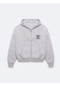 Big-Star - Bluza damska z kapturem rozpinana szara Madelina 901. Typ kołnierza: kaptur. Kolor: szary. Materiał: dresówka, dzianina. Wzór: aplikacja, haft. Styl: sportowy, elegancki
