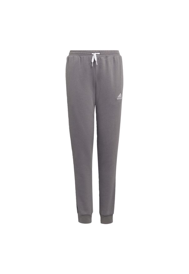 Adidas - Entrada 22 Sweat Pants. Kolor: szary. Materiał: polar, dresówka