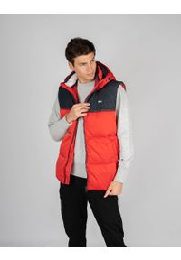 TOMMY HILFIGER - Tommy Jeans Bezrękawnik | DM0DM06653 | Mężczyzna | Czerwony, Niebieski. Okazja: na co dzień. Kolor: niebieski, wielokolorowy, czerwony. Materiał: poliester. Długość rękawa: bez rękawów. Wzór: nadruk. Styl: casual #5