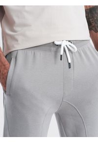 Ombre Clothing - Męskie spodnie dresowe typu jogger - szare V8 OM-PABS-0173 - XXL. Okazja: na co dzień. Kolor: szary. Materiał: dresówka. Wzór: aplikacja. Styl: casual #4