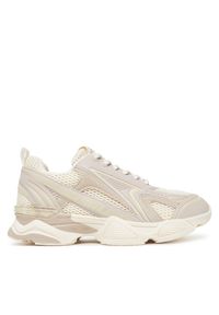 Sneakersy Steve Madden