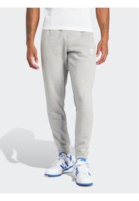 Adidas - adidas Spodnie dresowe adicolor 3-Stripes IM9318 Szary Slim Fit. Kolor: szary. Materiał: bawełna, syntetyk