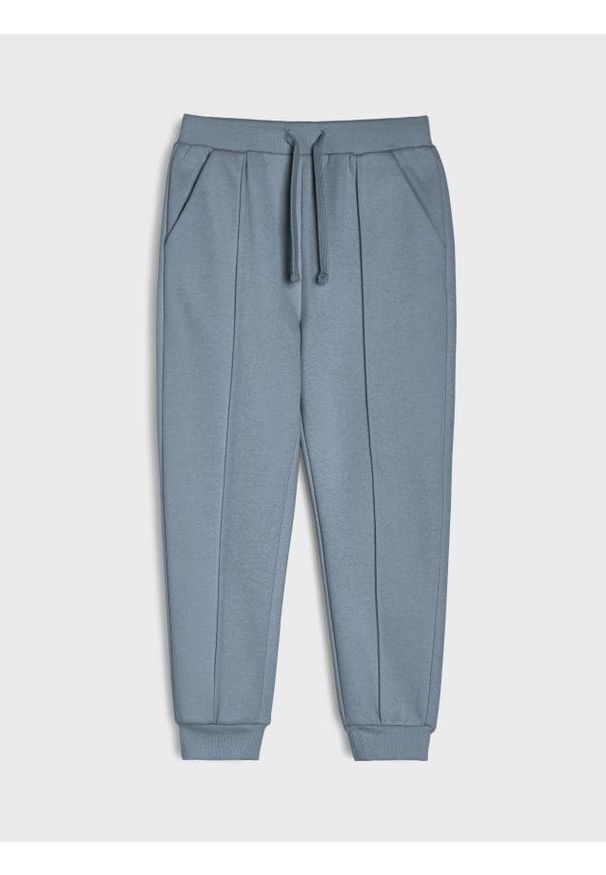 Sinsay - Spodnie jogger z przeszyciami - mid blue