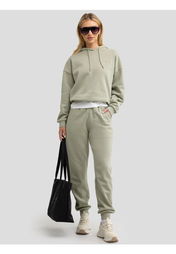 Big-Star - Bluza damska z kapturem pistacjowa Megan 302/ Foxie 302. Okazja: na co dzień. Typ kołnierza: kaptur. Kolor: zielony. Materiał: dzianina, skóra. Wzór: aplikacja, haft. Sezon: lato. Styl: sportowy, wakacyjny, casual